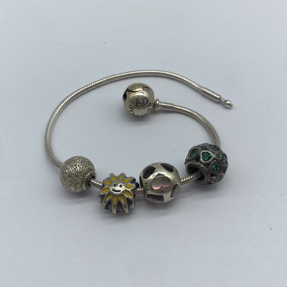 Pandora Jewelry - Pandora ALE Sterling Silver Multi Charm Bracelet